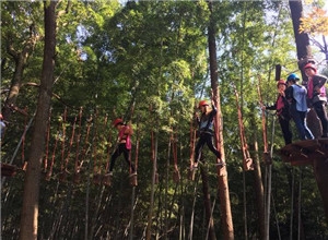 雅安丛林飞越